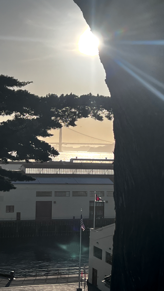 Golden Gate Bridge in the late afternoon, seen from Fort Mason.