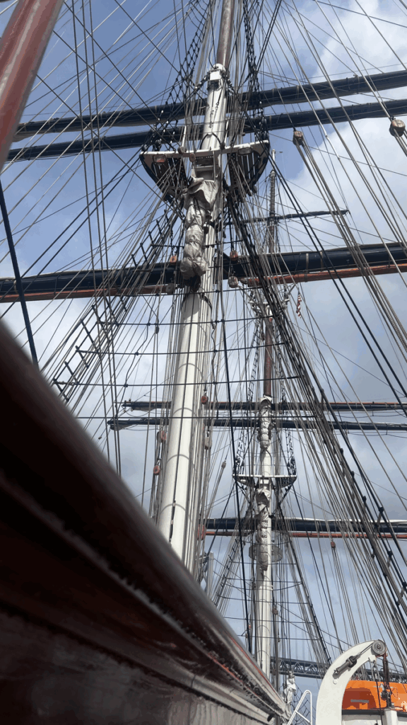 The rigging of a tall ship, the dozens of different lines making it look like a complicated spider's web.
